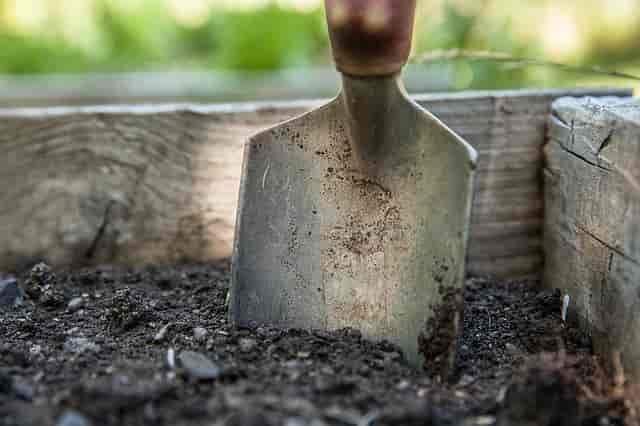 Levanta el ánimo con trabajos de jardinería durante esta primavera