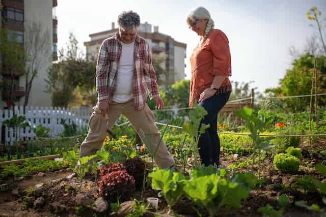 Siembra de nuevas plantas