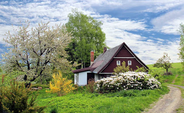 Consejos para crear jardines hermosos con herramientas de ferretería en Albacete