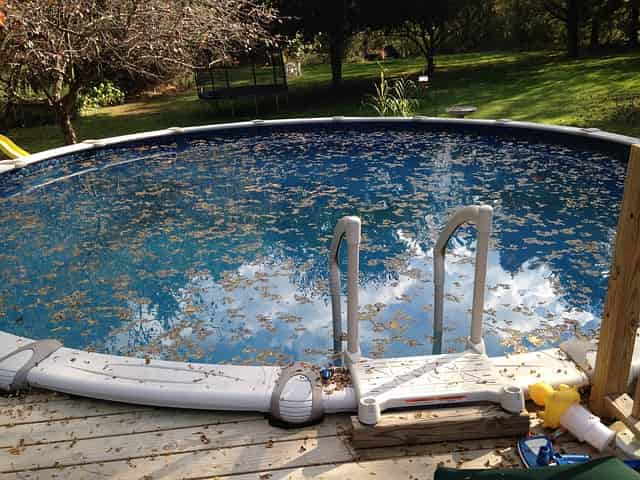 Evitar aparición de hongos en el agua de tu piscina