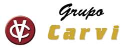 Grupo Carvi