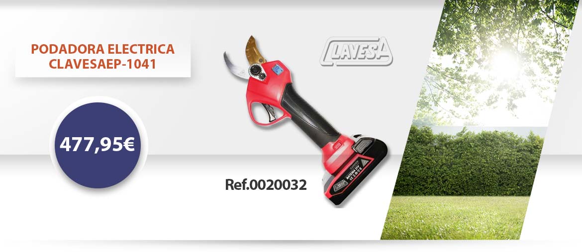 banner-0020032.jpg