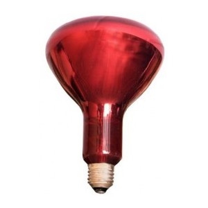 LAMPARA INFRARROJOS 250W E27 12.635/250W