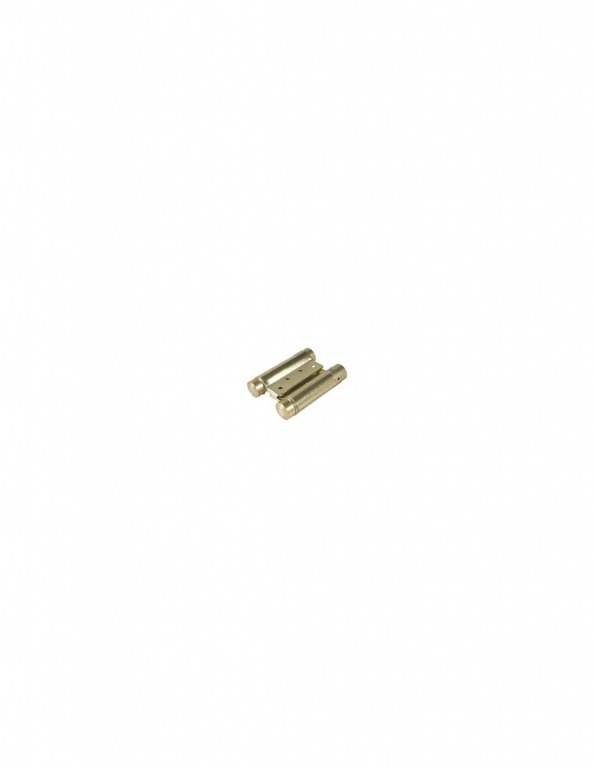 BISAGRA VAIVEN 100 MM LATONADA