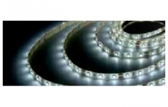 ROLLO LED 5ML(6W)6000K.IP65.24V 1504592